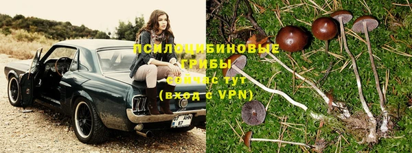 марки lsd Нефтегорск