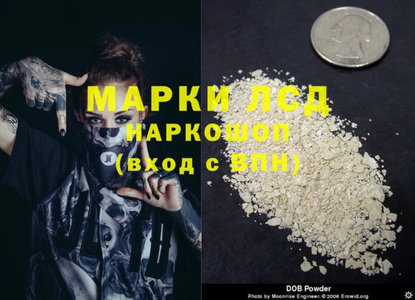 мяу мяу мука Абаза