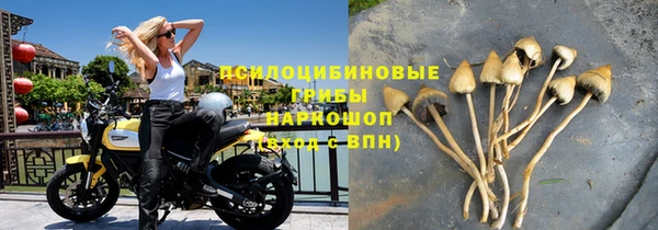 бошки Абдулино