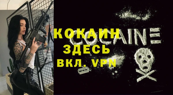 мяу мяу мука Абаза